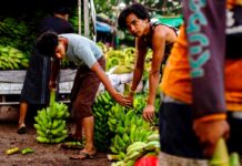 FMI advierte que guerra en Irán agudizará el hambre en los países más pobres