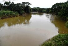 MINSA llama a Súper Mario Bros para que examine al río La Villa