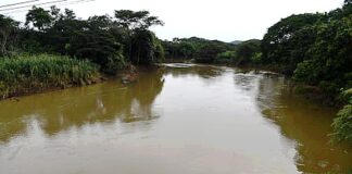 MINSA llama a Súper Mario Bros para que examine al río La Villa