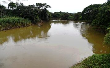 MINSA llama a Súper Mario Bros para que examine al río La Villa