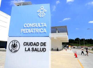 Integración de los servicios e integración de los Cuidados de Salud