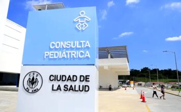 Integración de los servicios e integración de los Cuidados de Salud