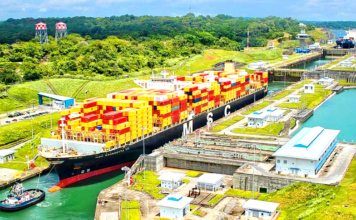 La metamorfosis de la política exterior de la ”Neutralidad Activa” a la ”Neutralidad Vigilada”