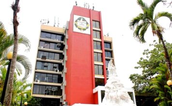 Admiten oficialmente candidaturas para las elecciones en la Universidad de Panamá