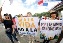 Panamá la verde y el referéndum ambiental
