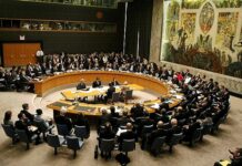 La ONU frente a los retos mundiales