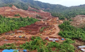 Los minerales críticos son el nuevo petróleo del siglo XXI