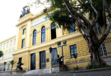 El bastón de relevo generacional del Instituto Nacional: origen, evolución y legado histórico