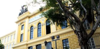 El bastón de relevo generacional del Instituto Nacional: origen, evolución y legado histórico