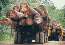 Darién es el pulmón de Panamá, pero le falta oxígeno económico y político