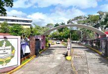 Universidad de Panamá despliega red de solidaridad y centros de acopio tras terremoto
