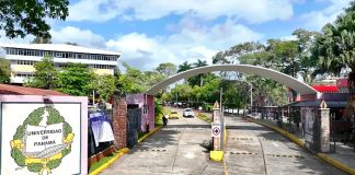 Universidad de Panamá despliega red de solidaridad y centros de acopio tras terremoto