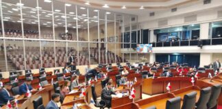 La Asamblea Nacional de Diputados: la cuna del desprestigio político