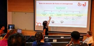 Herramienta digital para rescate y atención de fauna silvestre, trabajo pionero hecho en Univalle